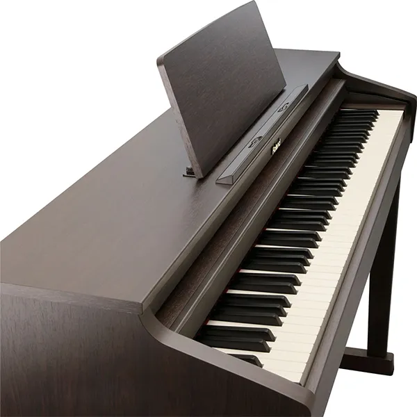 Music City – Tổng Kho Piano, Guitar, Organ | Dịch Vụ Giáo Dục Âm Nhạc