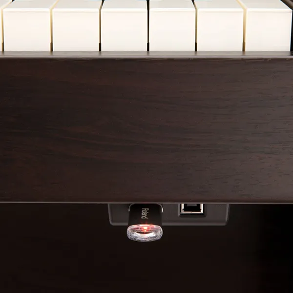 Music City – Tổng Kho Piano, Guitar, Organ | Dịch Vụ Giáo Dục Âm Nhạc