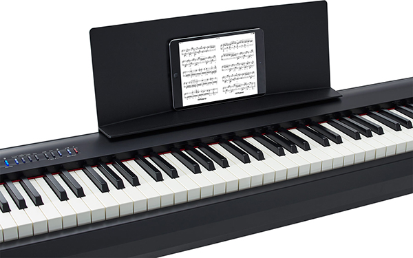 Music City – Tổng Kho Piano, Guitar, Organ | Dịch Vụ Giáo Dục Âm Nhạc