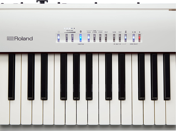 Music City – Tổng Kho Piano, Guitar, Organ | Dịch Vụ Giáo Dục Âm Nhạc
