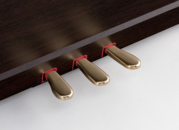 Music City – Tổng Kho Piano, Guitar, Organ | Dịch Vụ Giáo Dục Âm Nhạc
