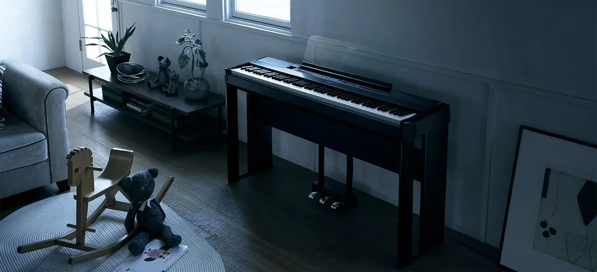 Music City – Tổng Kho Piano, Guitar, Organ | Dịch Vụ Giáo Dục Âm Nhạc