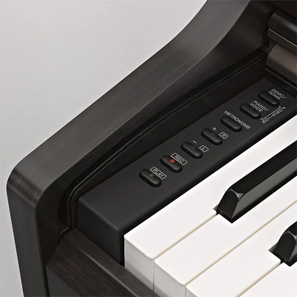 Music City – Tổng Kho Piano, Guitar, Organ | Dịch Vụ Giáo Dục Âm Nhạc