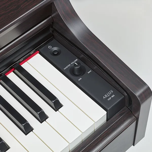 Music City – Tổng Kho Piano, Guitar, Organ | Dịch Vụ Giáo Dục Âm Nhạc