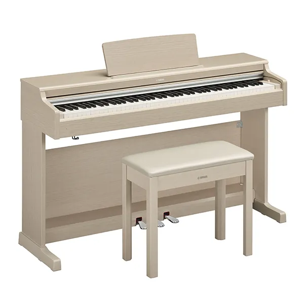 Music City – Tổng Kho Piano, Guitar, Organ | Dịch Vụ Giáo Dục Âm Nhạc