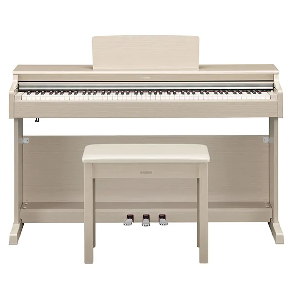 Music City – Tổng Kho Piano, Guitar, Organ | Dịch Vụ Giáo Dục Âm Nhạc