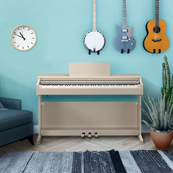 Music City – Tổng Kho Piano, Guitar, Organ | Dịch Vụ Giáo Dục Âm Nhạc