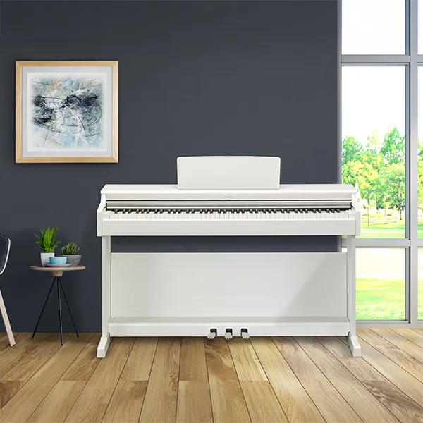 Music City – Tổng Kho Piano, Guitar, Organ | Dịch Vụ Giáo Dục Âm Nhạc