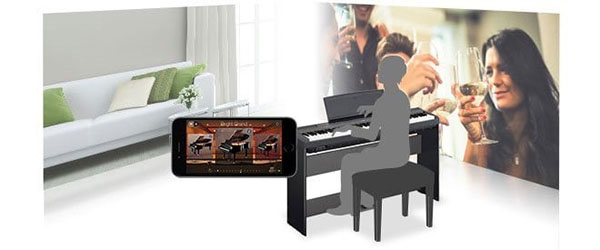 Music City – Tổng Kho Piano, Guitar, Organ | Dịch Vụ Giáo Dục Âm Nhạc