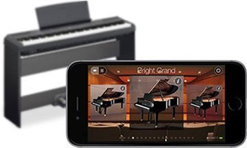 Music City – Tổng Kho Piano, Guitar, Organ | Dịch Vụ Giáo Dục Âm Nhạc