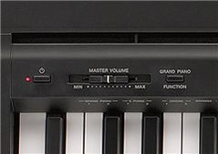 Music City – Tổng Kho Piano, Guitar, Organ | Dịch Vụ Giáo Dục Âm Nhạc