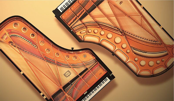 Music City – Tổng Kho Piano, Guitar, Organ | Dịch Vụ Giáo Dục Âm Nhạc
