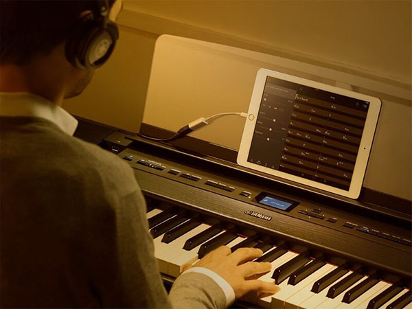 Music City – Tổng Kho Piano, Guitar, Organ | Dịch Vụ Giáo Dục Âm Nhạc