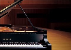 Music City – Tổng Kho Piano, Guitar, Organ | Dịch Vụ Giáo Dục Âm Nhạc