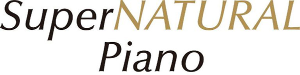Music City – Tổng Kho Piano, Guitar, Organ | Dịch Vụ Giáo Dục Âm Nhạc