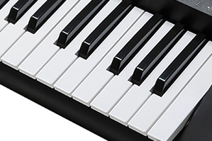 Music City – Tổng Kho Piano, Guitar, Organ | Dịch Vụ Giáo Dục Âm Nhạc
