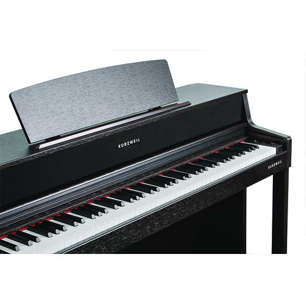 Music City – Tổng Kho Piano, Guitar, Organ | Dịch Vụ Giáo Dục Âm Nhạc