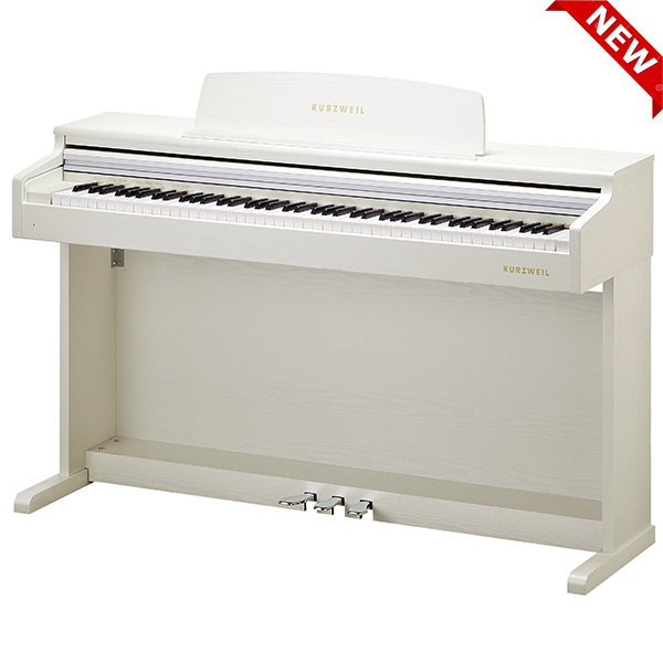 Music City – Tổng Kho Piano, Guitar, Organ | Dịch Vụ Giáo Dục Âm Nhạc