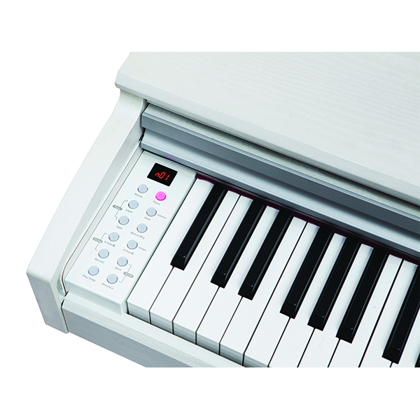 Music City – Tổng Kho Piano, Guitar, Organ | Dịch Vụ Giáo Dục Âm Nhạc