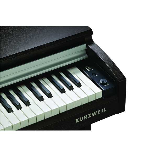 Music City – Tổng Kho Piano, Guitar, Organ | Dịch Vụ Giáo Dục Âm Nhạc