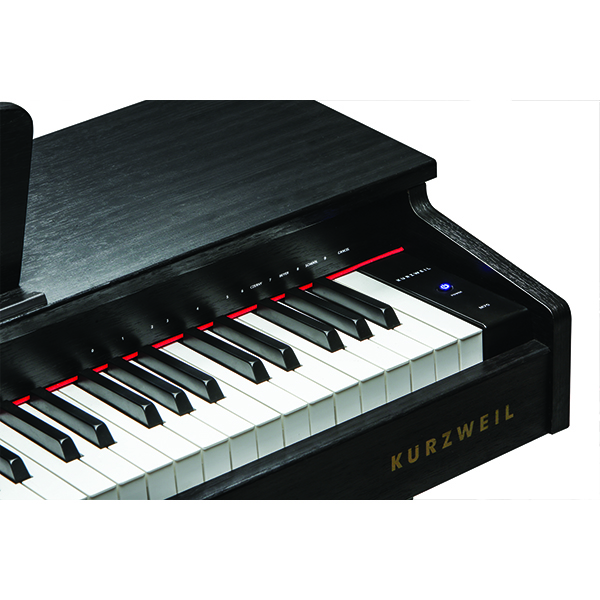 Music City – Tổng Kho Piano, Guitar, Organ | Dịch Vụ Giáo Dục Âm Nhạc