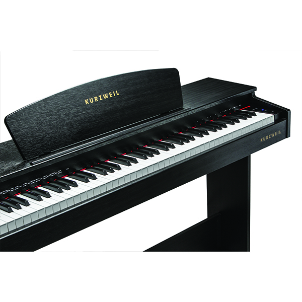 Music City – Tổng Kho Piano, Guitar, Organ | Dịch Vụ Giáo Dục Âm Nhạc