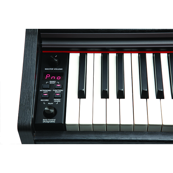 Music City – Tổng Kho Piano, Guitar, Organ | Dịch Vụ Giáo Dục Âm Nhạc