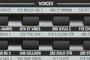 Music City – Tổng Kho Piano, Guitar, Organ | Dịch Vụ Giáo Dục Âm Nhạc