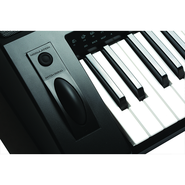 Music City – Tổng Kho Piano, Guitar, Organ | Dịch Vụ Giáo Dục Âm Nhạc