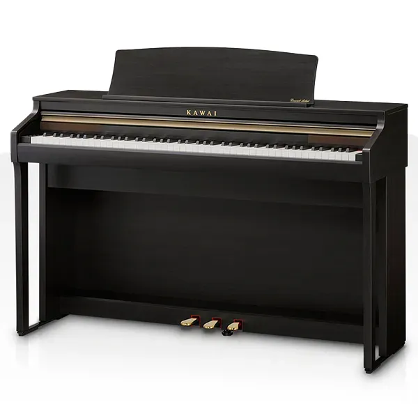 Music City – Tổng Kho Piano, Guitar, Organ | Dịch Vụ Giáo Dục Âm Nhạc