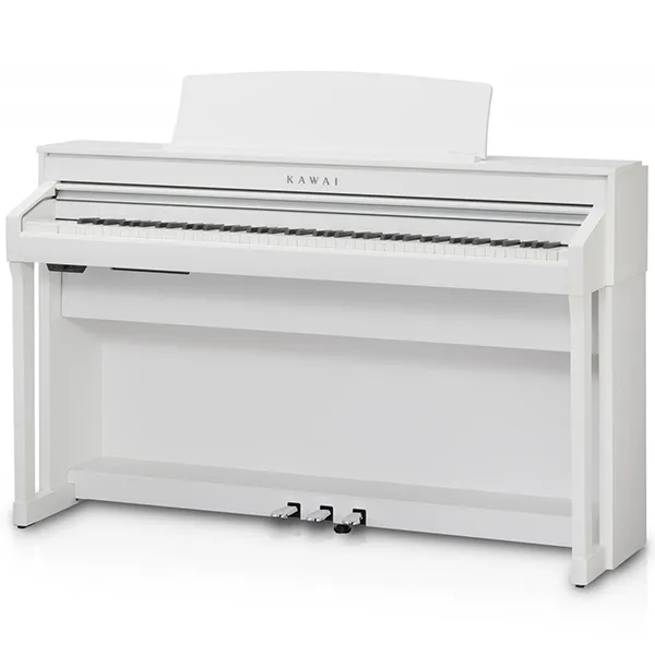 Music City – Tổng Kho Piano, Guitar, Organ | Dịch Vụ Giáo Dục Âm Nhạc
