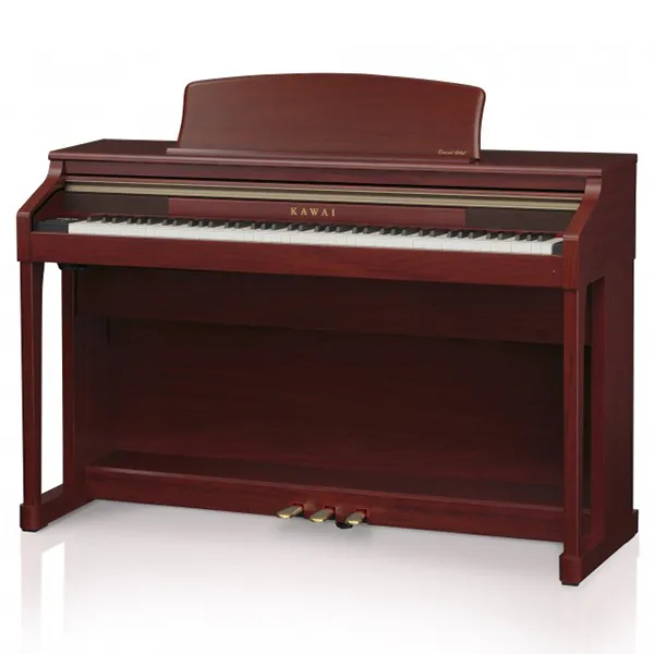 Music City – Tổng Kho Piano, Guitar, Organ | Dịch Vụ Giáo Dục Âm Nhạc