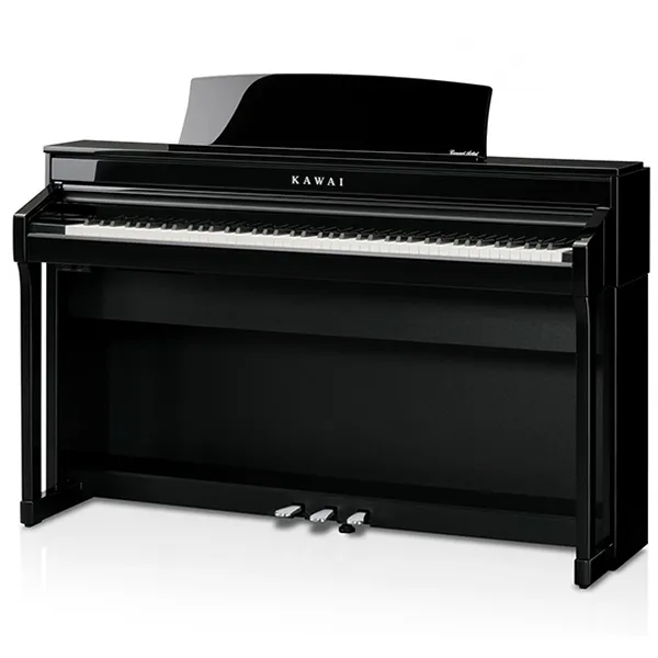 Music City – Tổng Kho Piano, Guitar, Organ | Dịch Vụ Giáo Dục Âm Nhạc