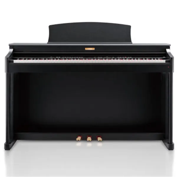 Music City – Tổng Kho Piano, Guitar, Organ | Dịch Vụ Giáo Dục Âm Nhạc