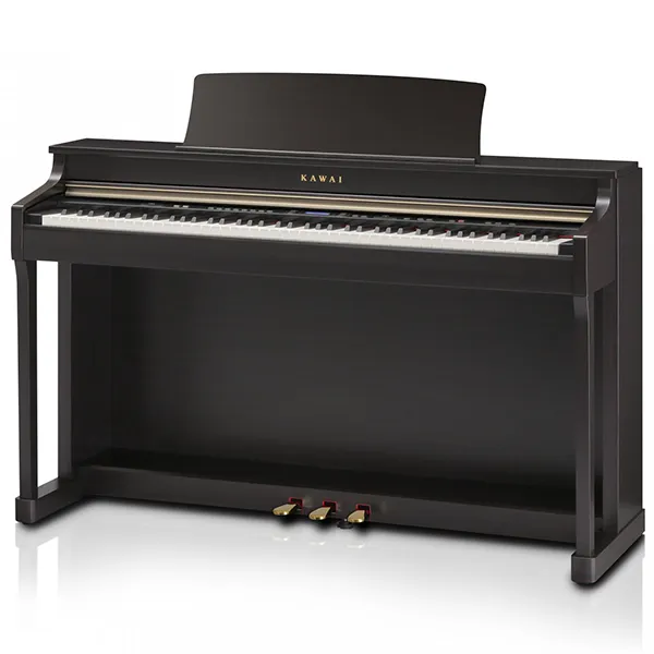 Music City – Tổng Kho Piano, Guitar, Organ | Dịch Vụ Giáo Dục Âm Nhạc
