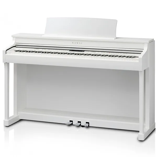 Music City – Tổng Kho Piano, Guitar, Organ | Dịch Vụ Giáo Dục Âm Nhạc