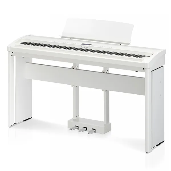 Music City – Tổng Kho Piano, Guitar, Organ | Dịch Vụ Giáo Dục Âm Nhạc