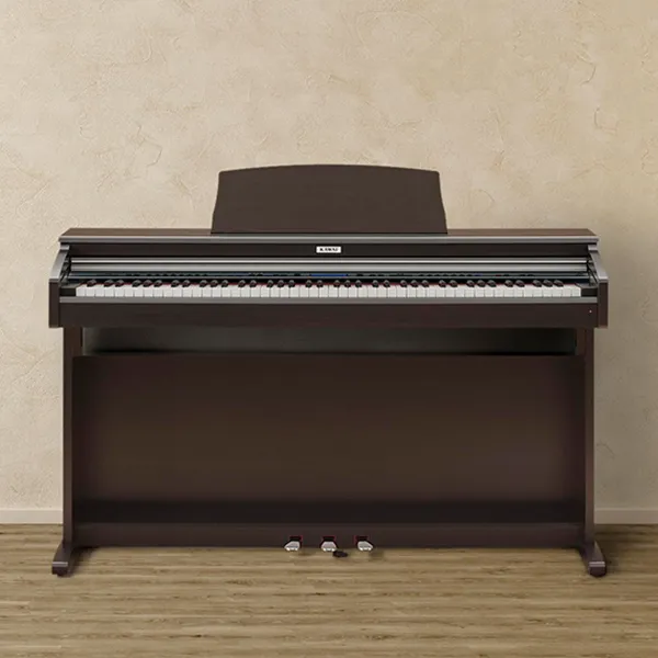 Music City – Tổng Kho Piano, Guitar, Organ | Dịch Vụ Giáo Dục Âm Nhạc