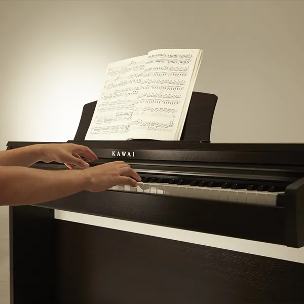 Music City – Tổng Kho Piano, Guitar, Organ | Dịch Vụ Giáo Dục Âm Nhạc
