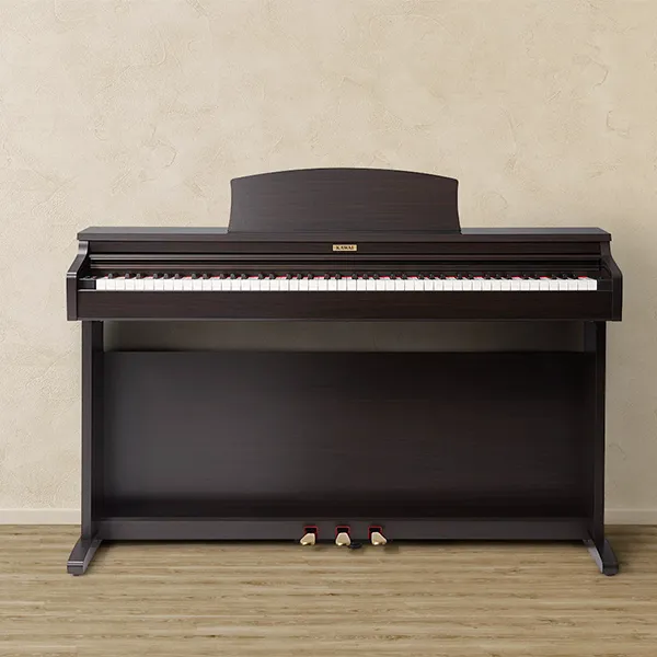 Music City – Tổng Kho Piano, Guitar, Organ | Dịch Vụ Giáo Dục Âm Nhạc
