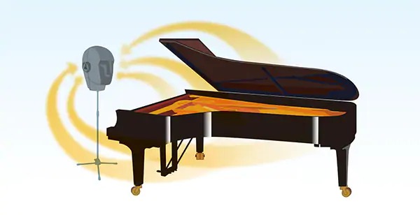 Music City – Tổng Kho Piano, Guitar, Organ | Dịch Vụ Giáo Dục Âm Nhạc