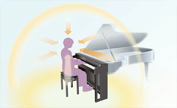 Music City – Tổng Kho Piano, Guitar, Organ | Dịch Vụ Giáo Dục Âm Nhạc