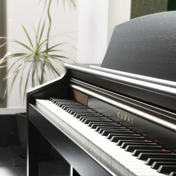Music City – Tổng Kho Piano, Guitar, Organ | Dịch Vụ Giáo Dục Âm Nhạc