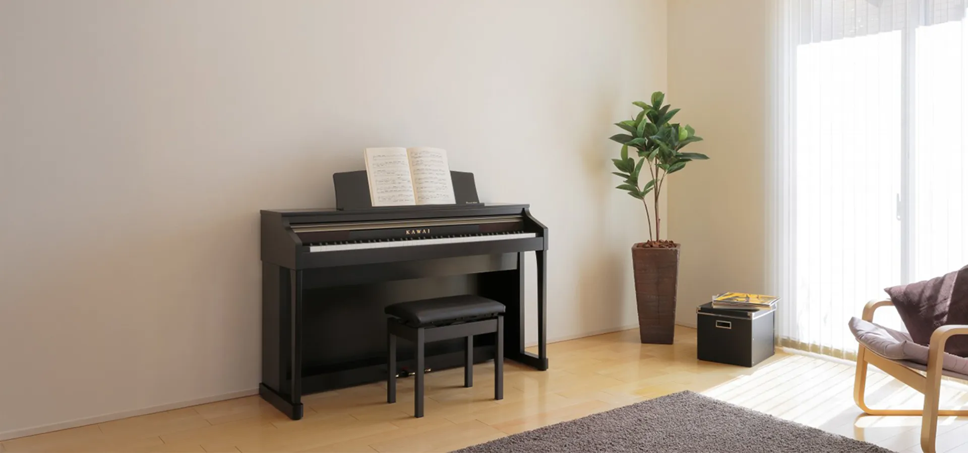 Music City – Tổng Kho Piano, Guitar, Organ | Dịch Vụ Giáo Dục Âm Nhạc