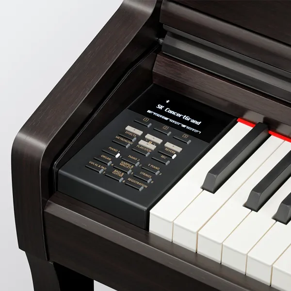 Music City – Tổng Kho Piano, Guitar, Organ | Dịch Vụ Giáo Dục Âm Nhạc