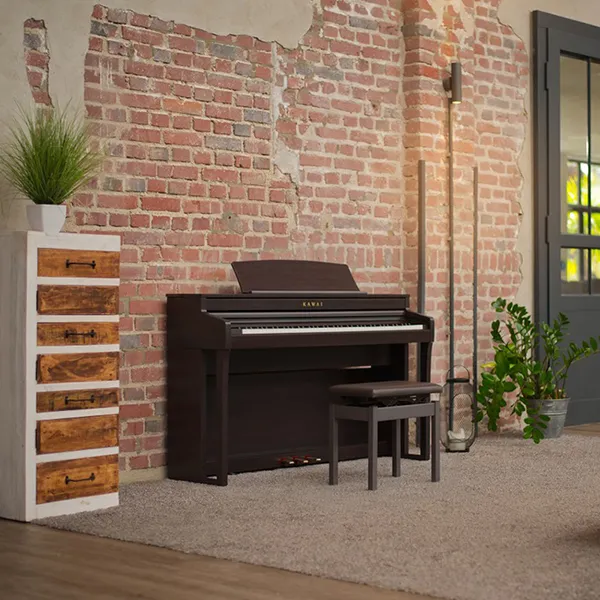 Music City – Tổng Kho Piano, Guitar, Organ | Dịch Vụ Giáo Dục Âm Nhạc