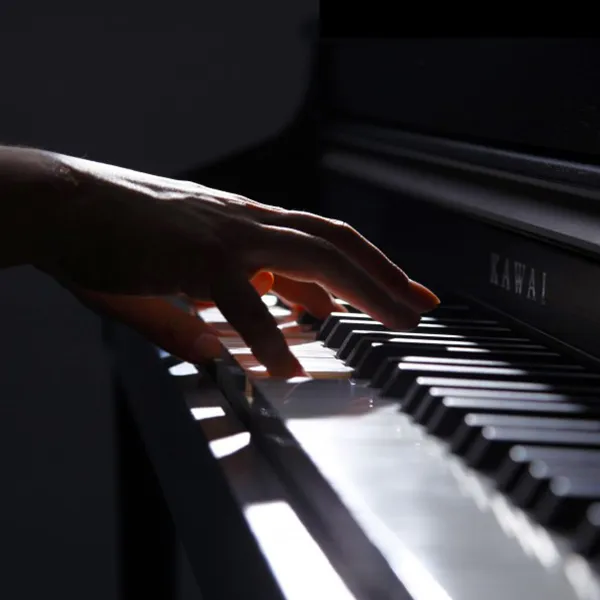 Music City – Tổng Kho Piano, Guitar, Organ | Dịch Vụ Giáo Dục Âm Nhạc