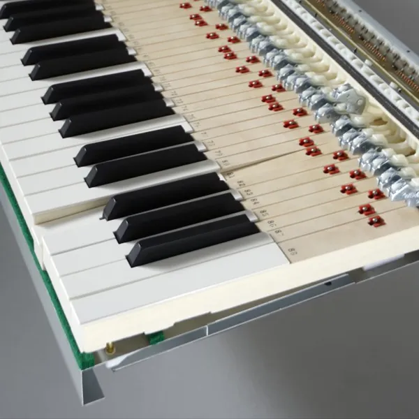 Music City – Tổng Kho Piano, Guitar, Organ | Dịch Vụ Giáo Dục Âm Nhạc