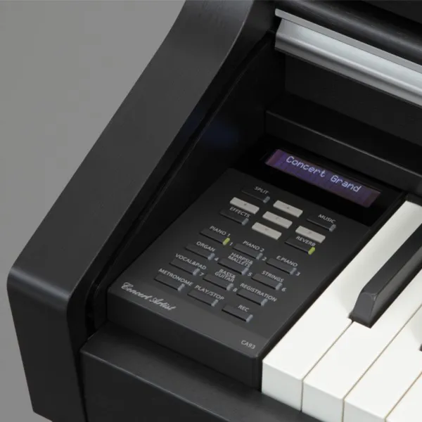 Music City – Tổng Kho Piano, Guitar, Organ | Dịch Vụ Giáo Dục Âm Nhạc