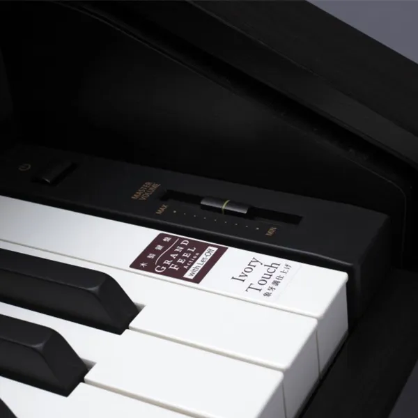 Music City – Tổng Kho Piano, Guitar, Organ | Dịch Vụ Giáo Dục Âm Nhạc